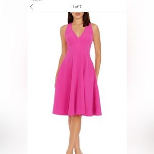 Dress the Popular Fit & Flare Pink Dress